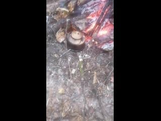 Vid 20201213 111554 mp4