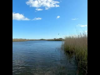 Nick jacobsen 20200515 1 mp4