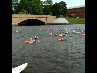 Заплыв вокруг петропавловской крепости