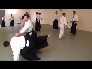 Sensei pascal guillemin seminar in aikido academy june 2014