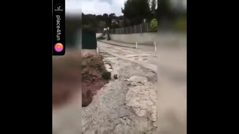 У трактора с ковшом отказали тормоза на спуске (огого видео)