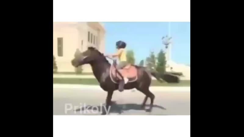 Insta azil+instautility 00 bnneoo0avj5 11 mp4