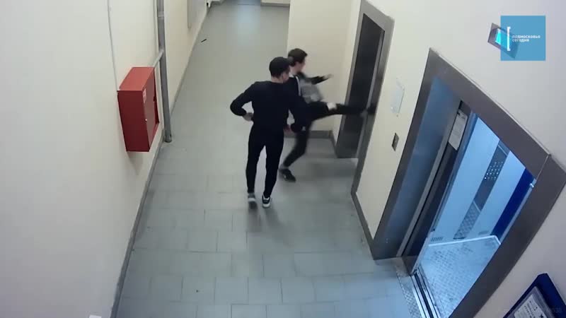 Биомусор в ногинске