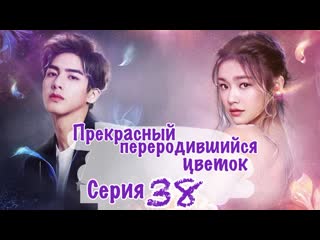 Прекрасный переродившийся цветок / beautiful reborn flower (38/50) [озвучка hmp]