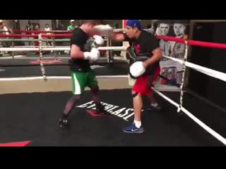 Work on the body canelo