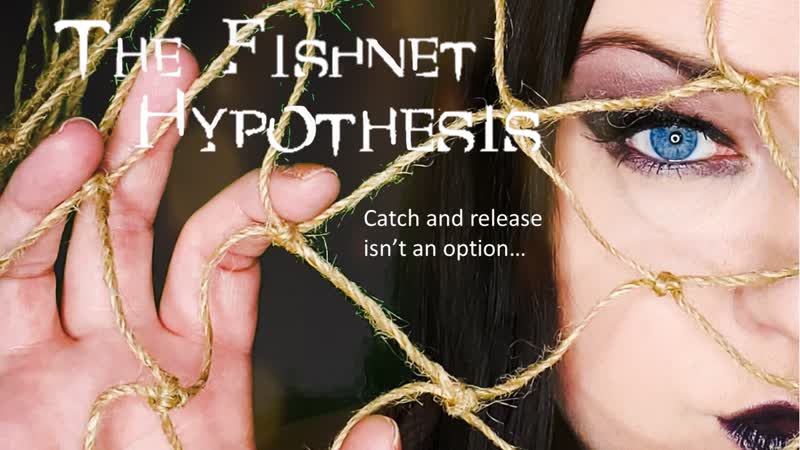 Гипотеза рыболовной сети (2021) the fishnet hypothesis