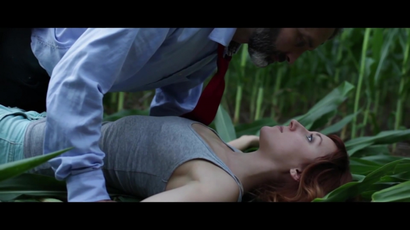 Поля кукурузы 2013