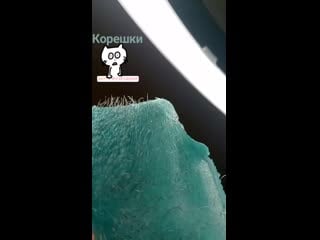 Simple use beauty алое