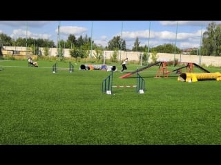 Наташа и инни аджилити