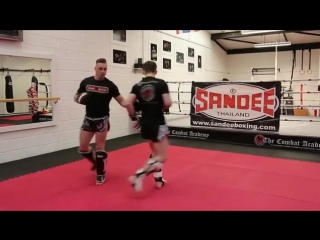 K1 kickboxing 5 hard hitting counters to the jab tutorial