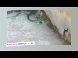 Instastori sc (кения, 24 04 19)