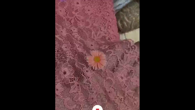 Эластичное кружево edited