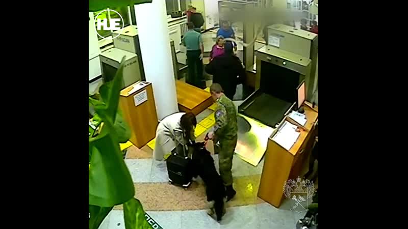 В хабаровском крае остановили женщину, которая везла в китай ртуть под одеждой