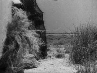 Белогривый / crin blanc le cheval sauvage (1953)