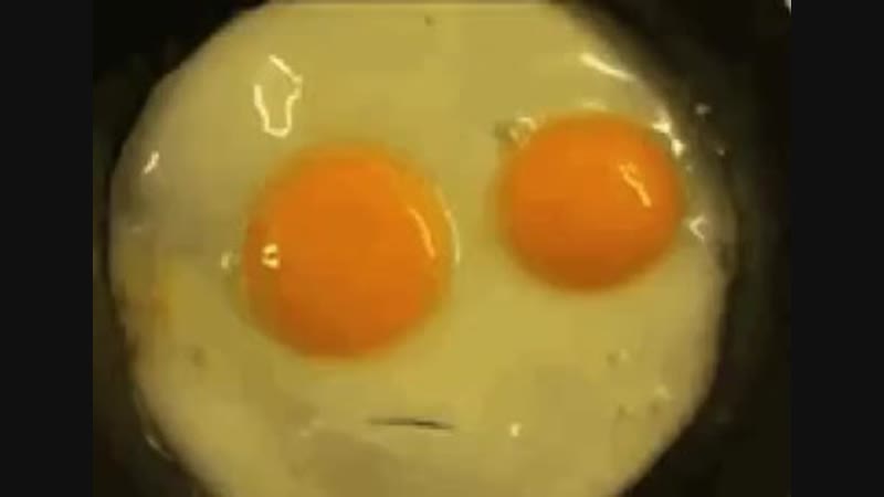 Говорящая яичница