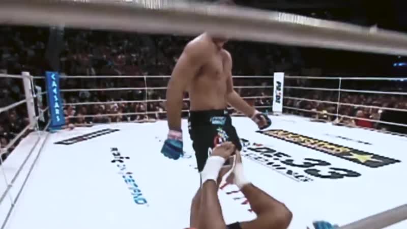 Mauricio shogun rua / маурисио руа