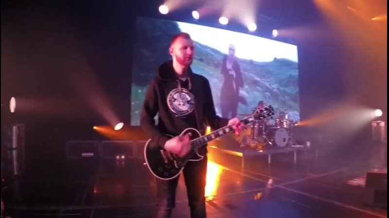 Set arb bluesbacker gold stainless