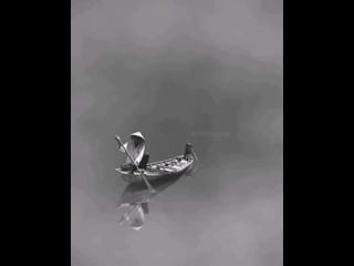 I s l a m muslim 20200531 1 mp4