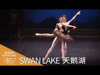 Отрывок из балета «лебединое озеро»