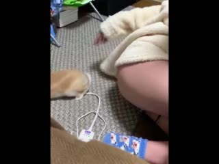 Когда твои пальцы пахнут сексом