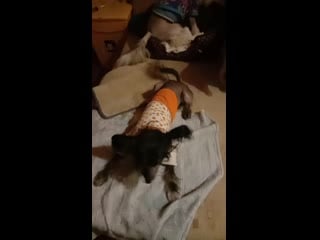 Video 20191028 201208 mp4