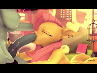 2381797 certedia rainbow dash fluttershy animated anthro futa