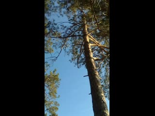 Vid 20200305 165147 mp4