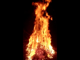 Видео от габриели габриэллы