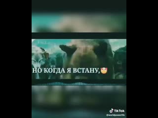 Hfo 7