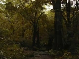 Summoning long lost to where no pathway goes