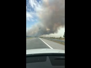 ✅✅✅kapikulede ye 50 km kala bulgaristan da yangın dikkat li olun ✅✅✅