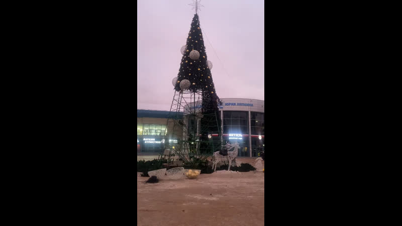 Разбирают елку