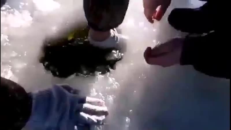 Шикарный сазан 😃