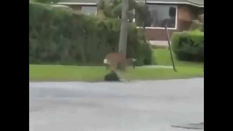 Мама, защитит всегда!