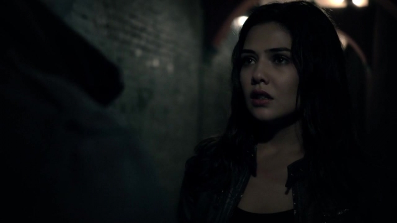 Кол/давина 3х11