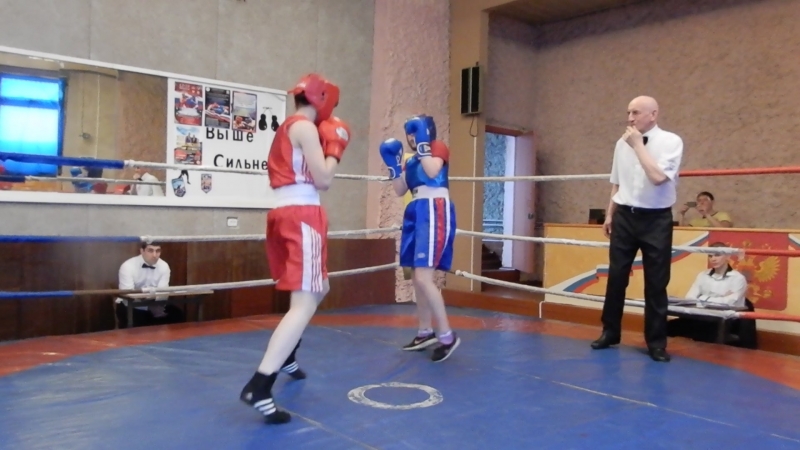 Милые девушки боксёры шелепанова поликарпова