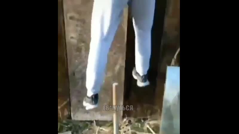 Нет опаснее врага чем лучший друг