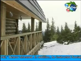 Зелений бум буковинські карпати