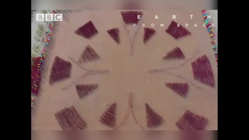 Тренироа монахов шао линя завораживает nhtybhjdrf vjyf[jd ifj kbyz pfdjhf;bdftn