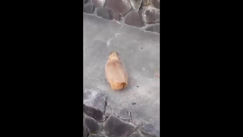 Да как так можно пугать