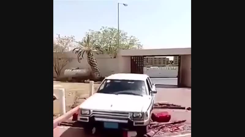 Video 803 | ассалам алейкум