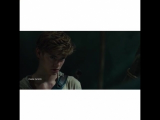 Newt thomas brodie sangster