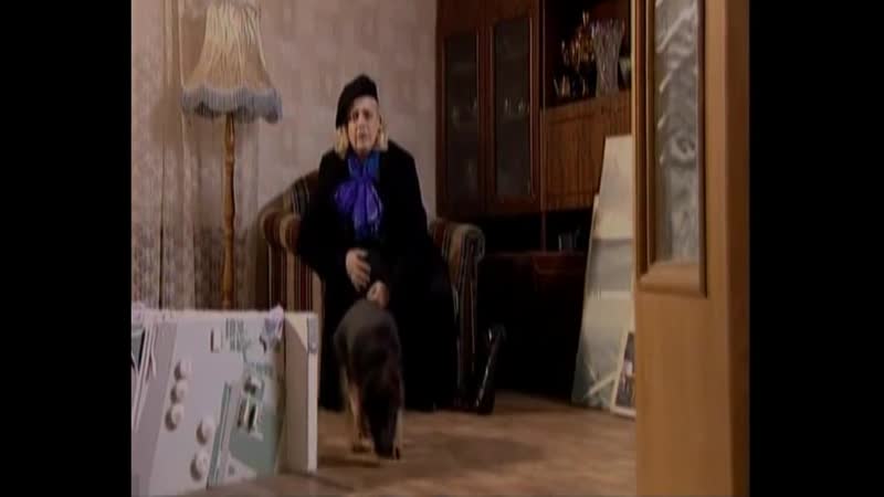 Марфа и ее щенки 2, 2007