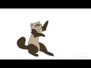 Dancing ferret animation