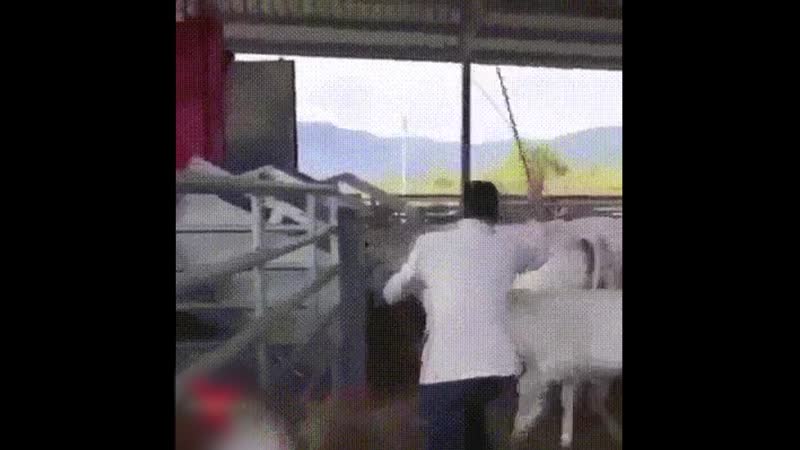 Не трогай маму!😂