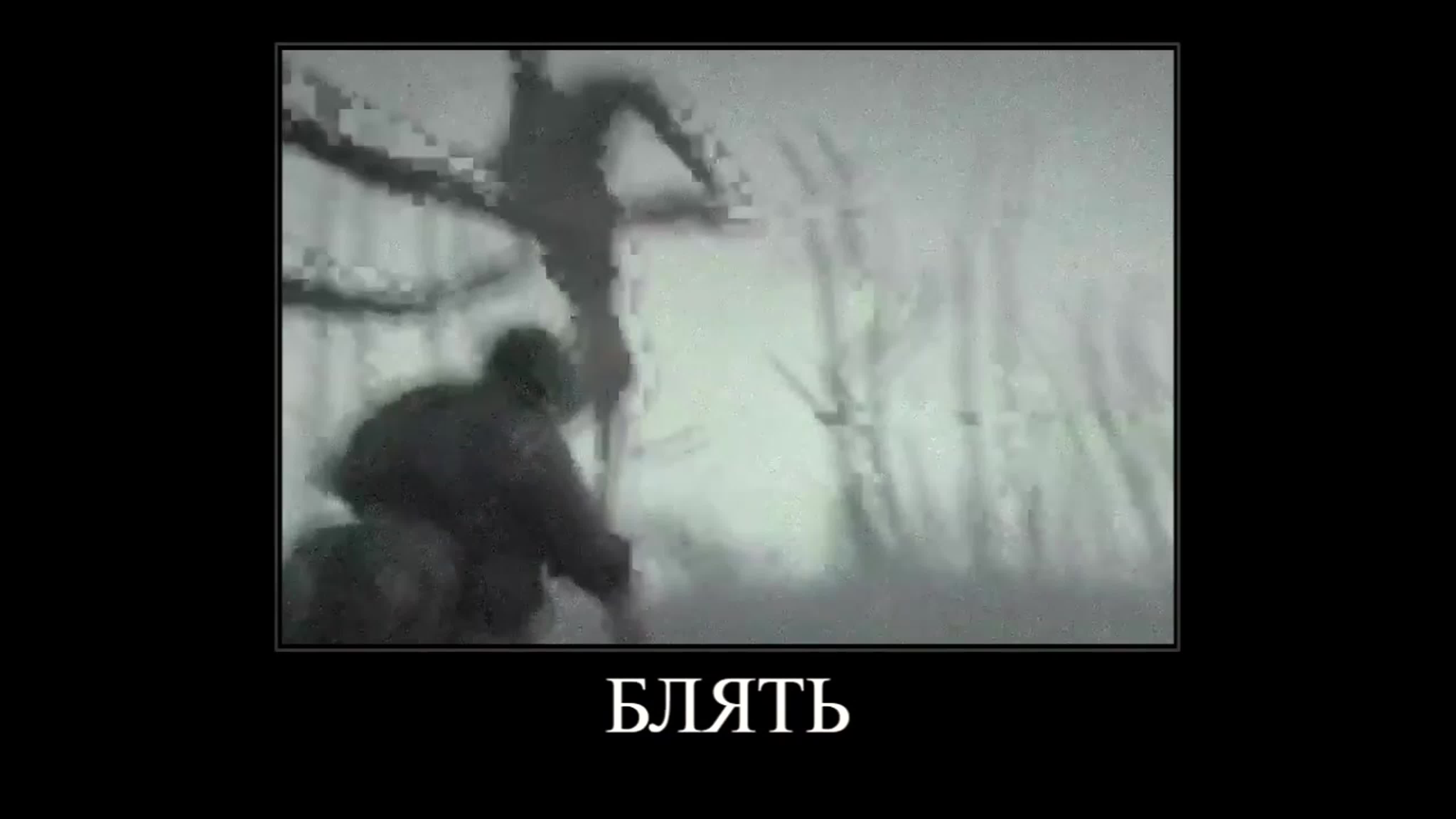 Sankt-Peterburgda jinsiy aloqa arzonroq Barmoqli mushuk surati