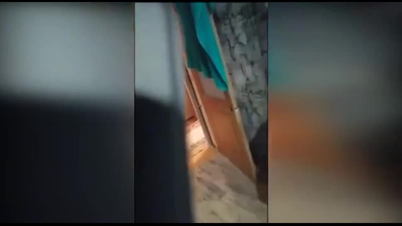 Школьник (судя по всему 5 7 класс) доказывает маме, что гитлер нёс добро