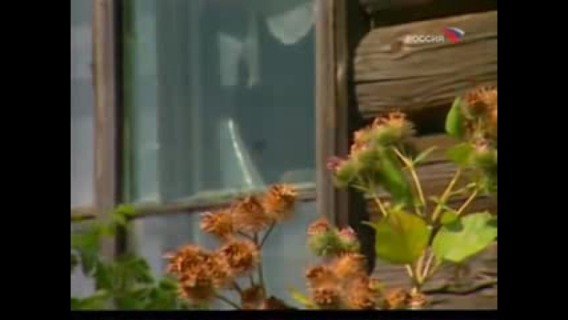 Тамбовская вандея