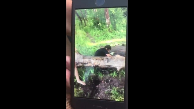 Двачер доигрался