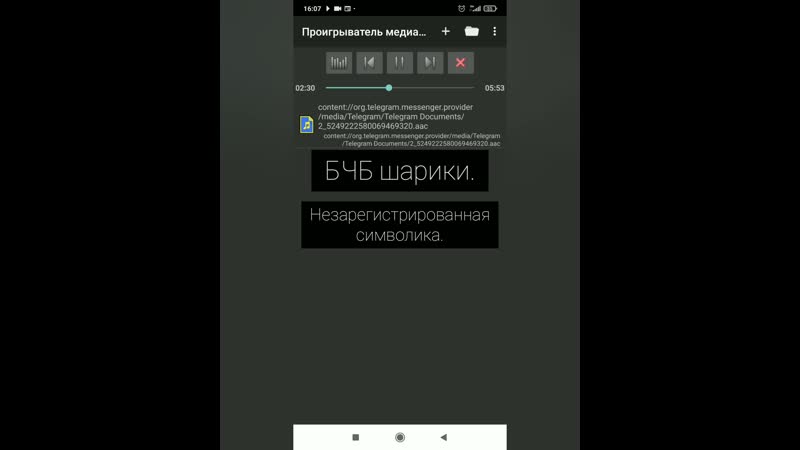 Міліцыянт пра бчб балёнікі